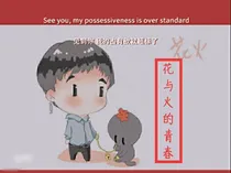 花与火的青春