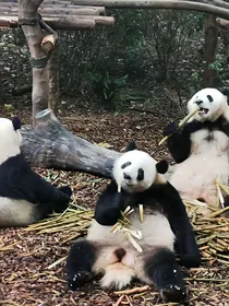 末世异变君王