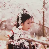 陈情令:远山客