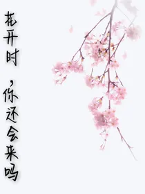 花开时你还会来吗