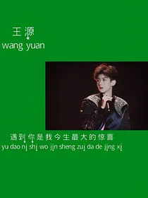 王源，重生夫人太粘人
