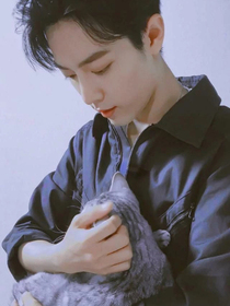 肖战家的猫