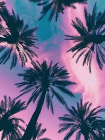 娱乐圈案情