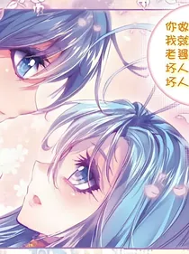雨浩梧桐现代恋
