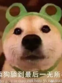 舔狗之日常
