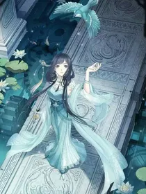 查理九世之另一层身份