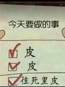 系统外挂什么的我才不要