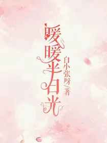 暖你半日光