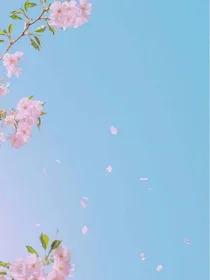 花开的半夏