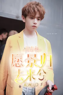 胡春杨:愿景归去来兮