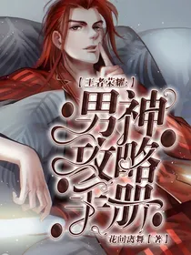 王者荣耀:男神攻略手册