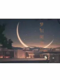 梦似阑珊如珞