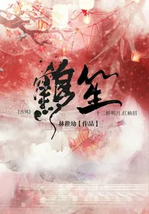 鹤笙.红袖招
