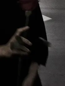 黑丝绒梦境.