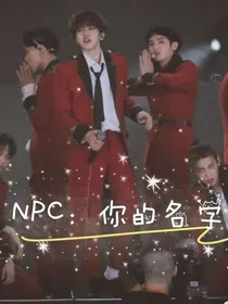 NPC：你的名字