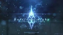 fate：永恒骑士