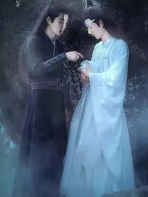 陈情令之蓝墨