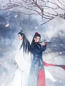 快穿陈情：我的后宫男孩