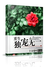 重生之独宠无一