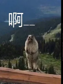 无聊了写呃呃呃呃