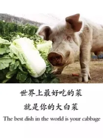 宠妻无度甜蜜蜜