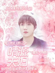 王牌对王牌3之晴源夫妇