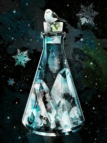 雪与血