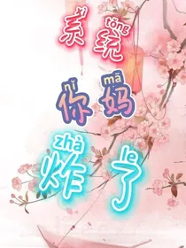 太子:系统你妈炸了