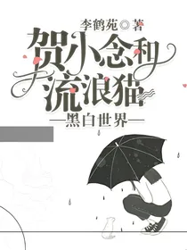 贺小念和流浪猫—黑白世界