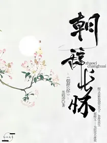 朝辞长怀