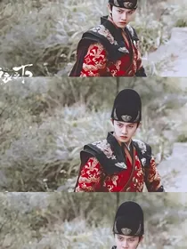锦衣之下之不一样——d211