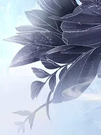 综漫:星宿命运