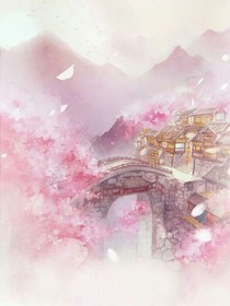 Idol美图图片店铺——d185