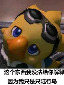 最终幻想XIV