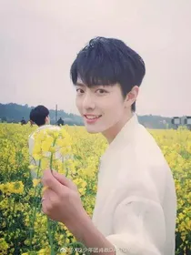 肖战：蜜宠甜少女