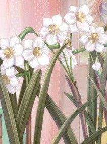 星际美食直播间