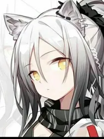 暗帝贴身杀手