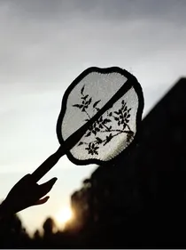 聊是昔年荒唐梦