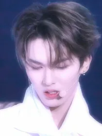 丞少独宠