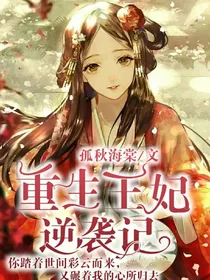 重生王妃逆袭记