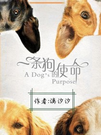 一条狗的使命（中国版）