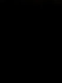腿毛收集录