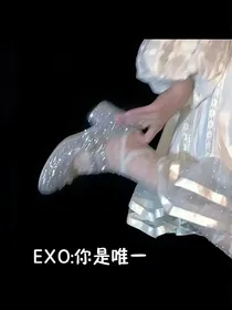 EXO:你是唯一