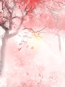 圣帝独宠，帝后妖娆