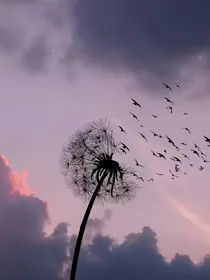 明星版的心动的信号