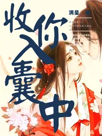 收你入囊中