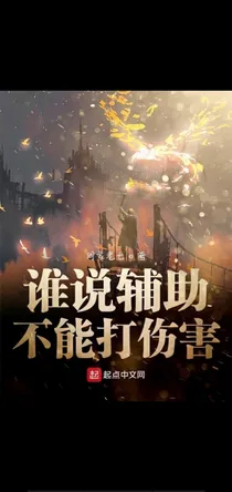 谁说辅助不能打伤害