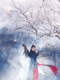 陈情令：云想衣裳花想容