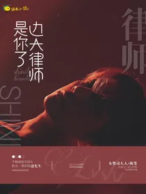 是你了，边大律师