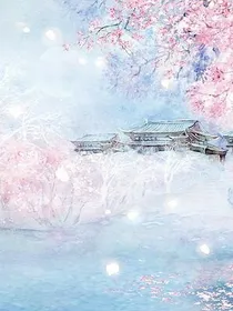 魂穿：逍遥妃